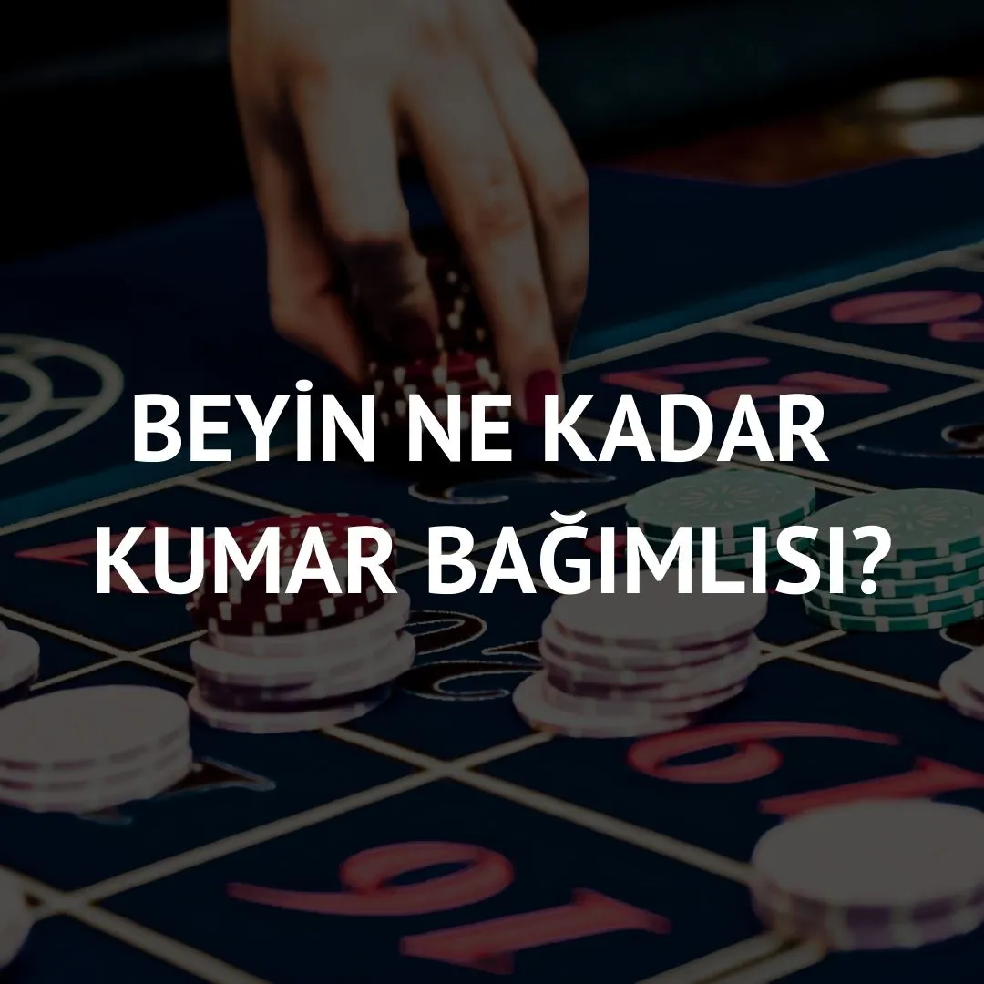 Beyin Ne Kadar Kumar Bağımlısı?